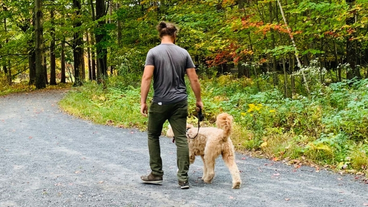 Avis- Les chiens doivent être tenus en laisse en tout temps dans le parc régional de la Forêt Drummond