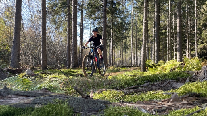 Vélo de montagne : la saison est lancée dans le parc régional de la Forêt Drummond!